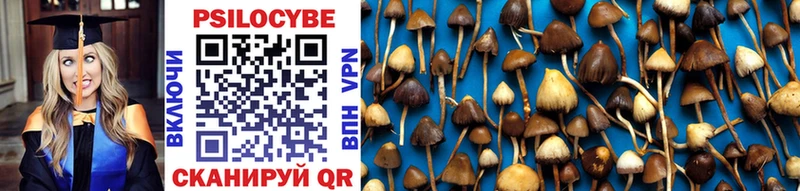 Галлюциногенные грибы Psilocybine cubensis  Купить где  Удачный 